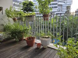 The Interlace (D4), Condominium #608405541